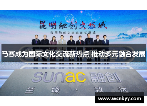 马赛成为国际文化交流新热点 推动多元融合发展 马赛成为国际文化交流新热点 推动多元融合发展